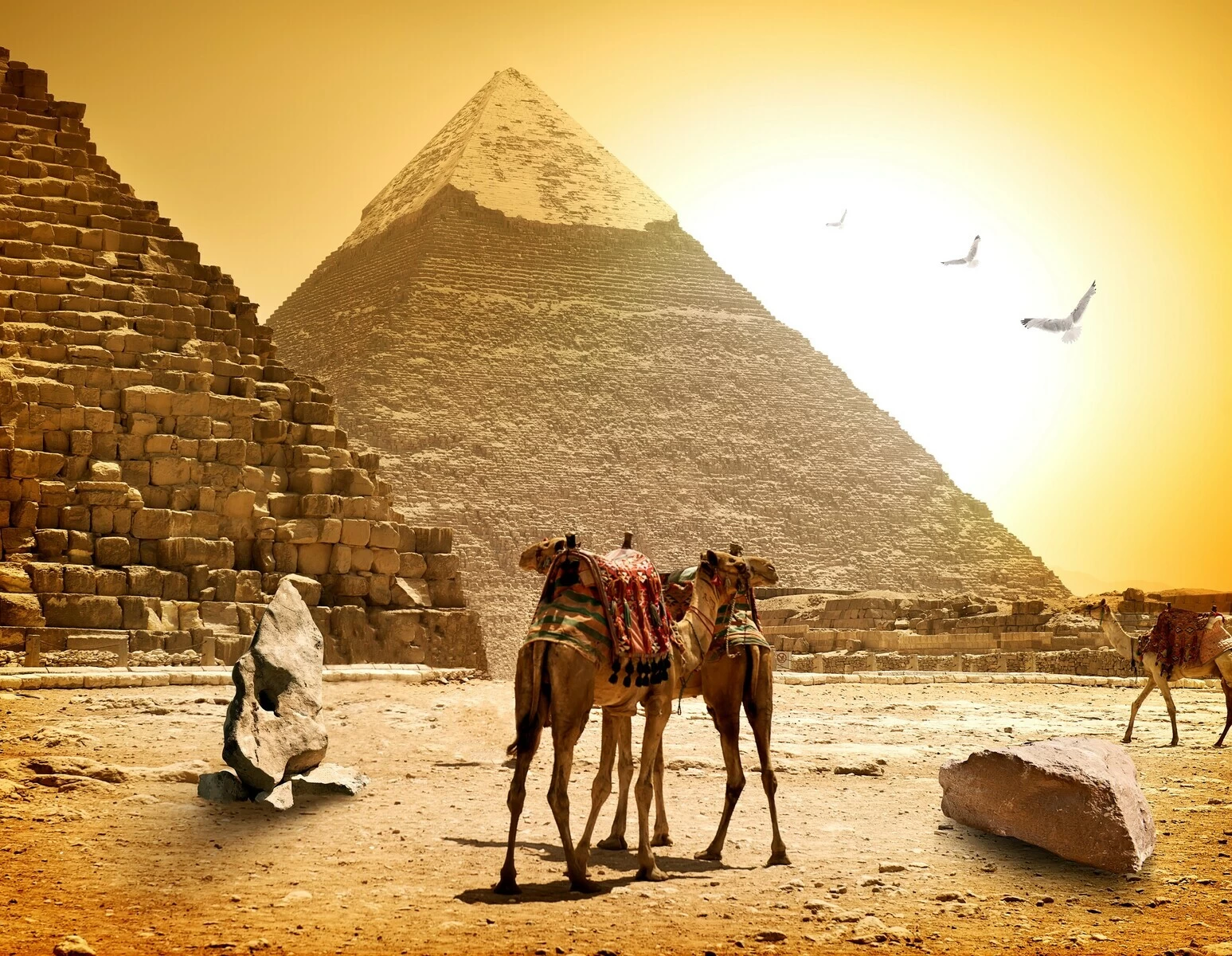 Uncover 10 Mind-Blowing Facts About the Great Pyramid