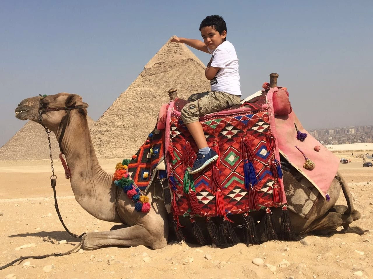 camel-ride }}