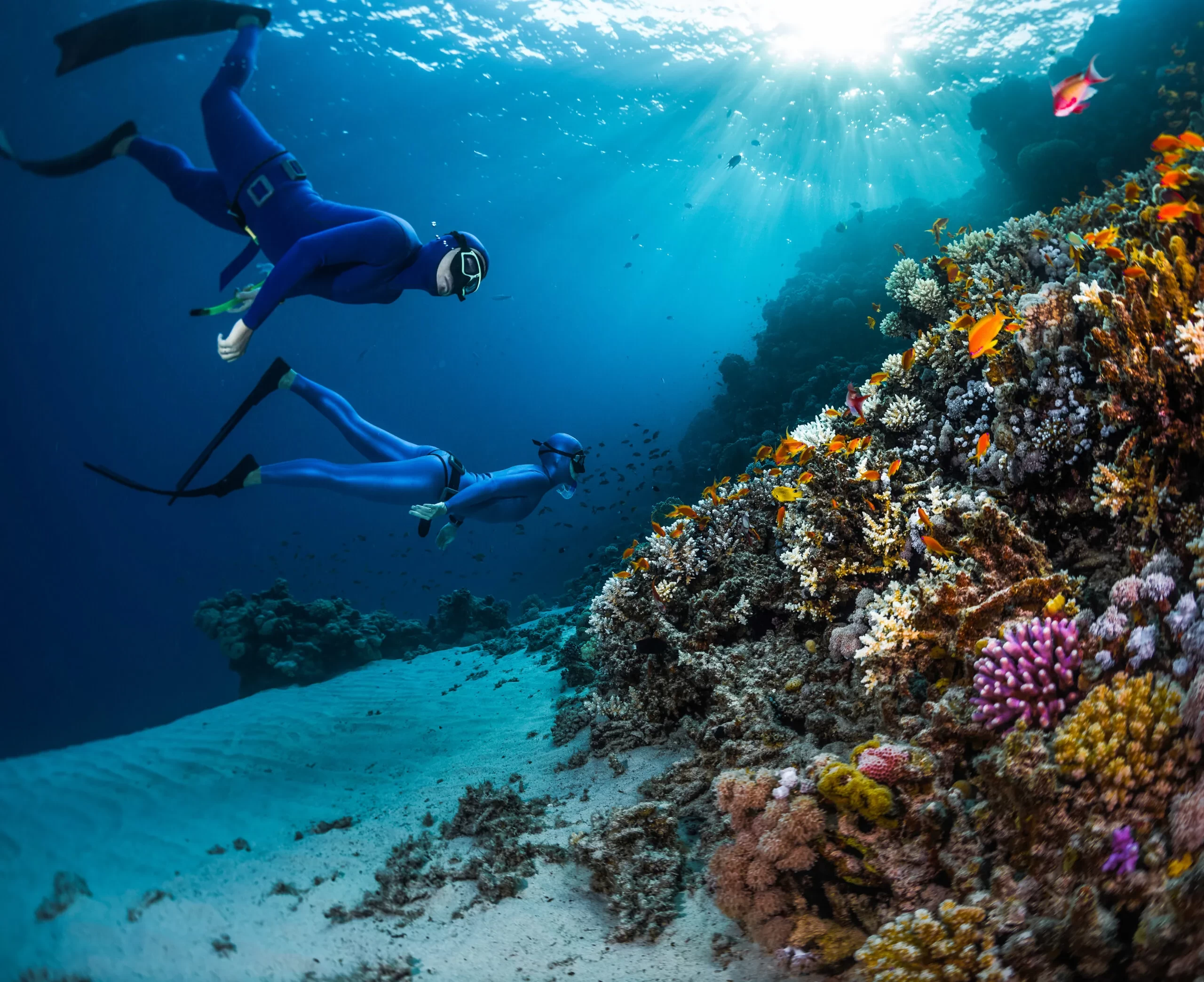 Snorkeling-in-Egypt }}