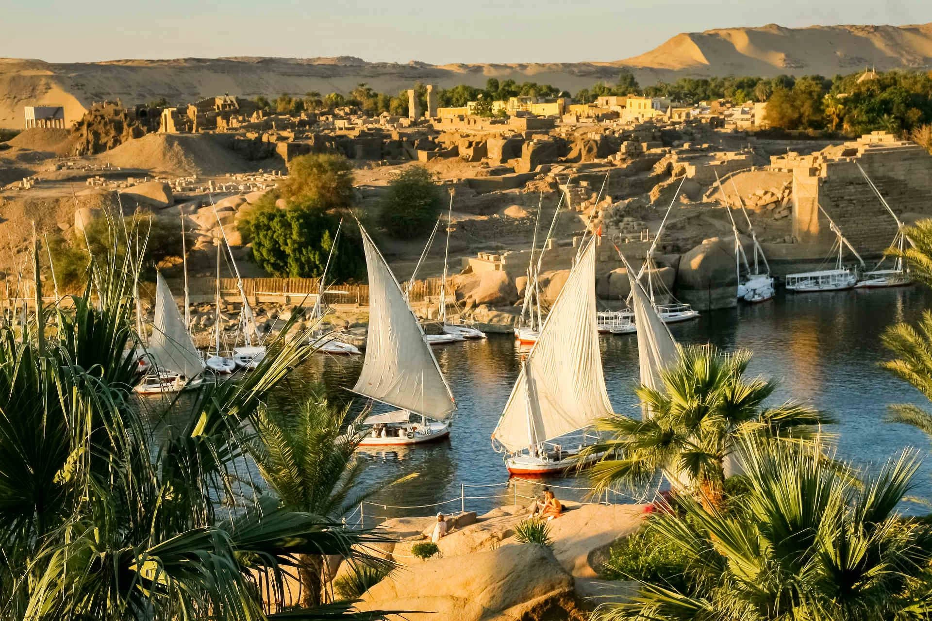 aswan-new-year-cruise }}