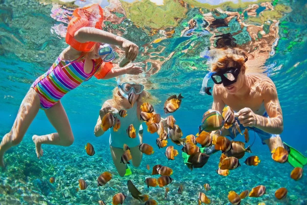 snorkeling-in-Sharm-El-Sheikh }}