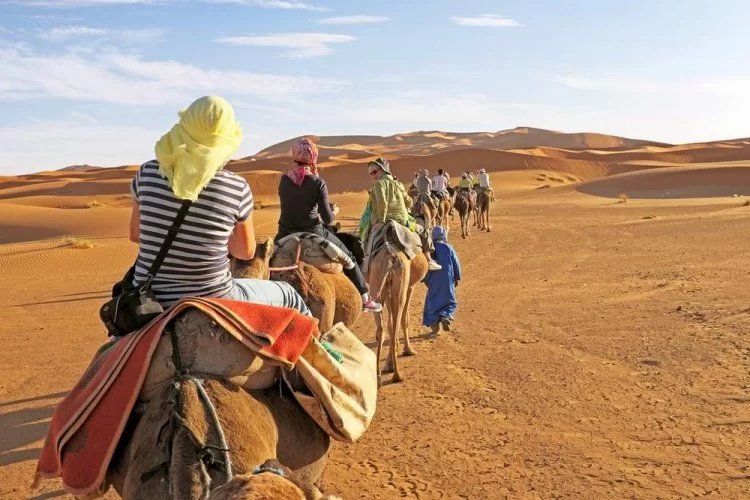 Camel Rides in Giza, Egypt