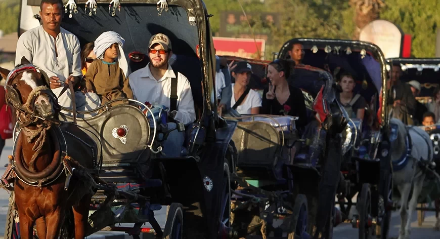 Horse Carriage Tour in Aswan }}