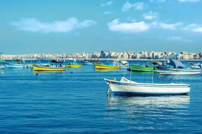 Alexandria Day Tours