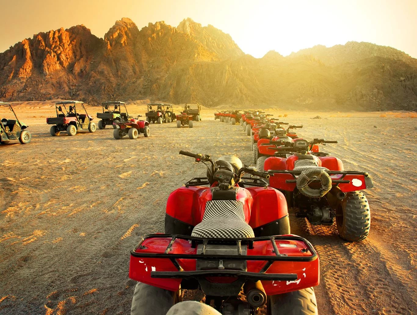 Sharm El-Sheikh activities Day Tour