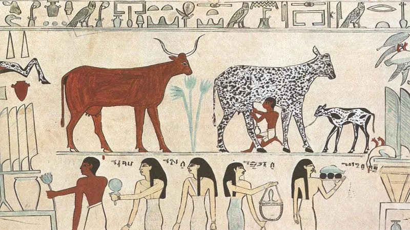 Dairy in Ancient Egyptian Meals