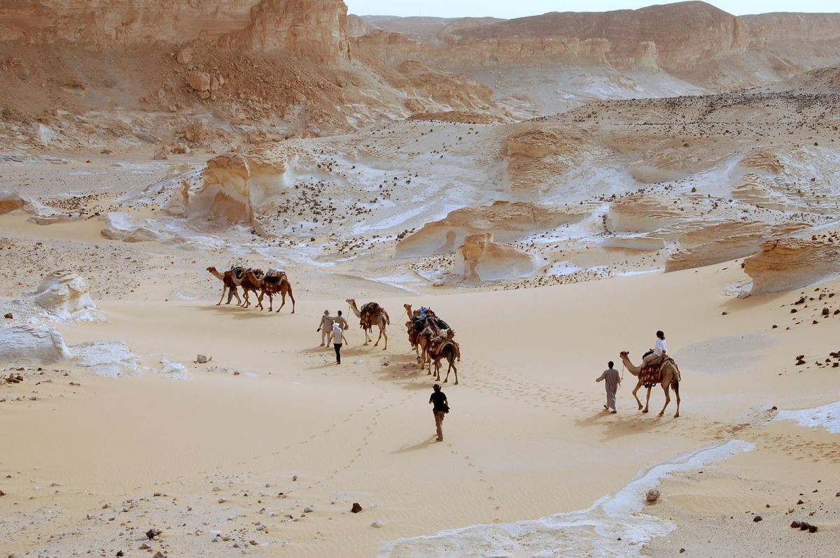 Desert Safari Tours in Egypt