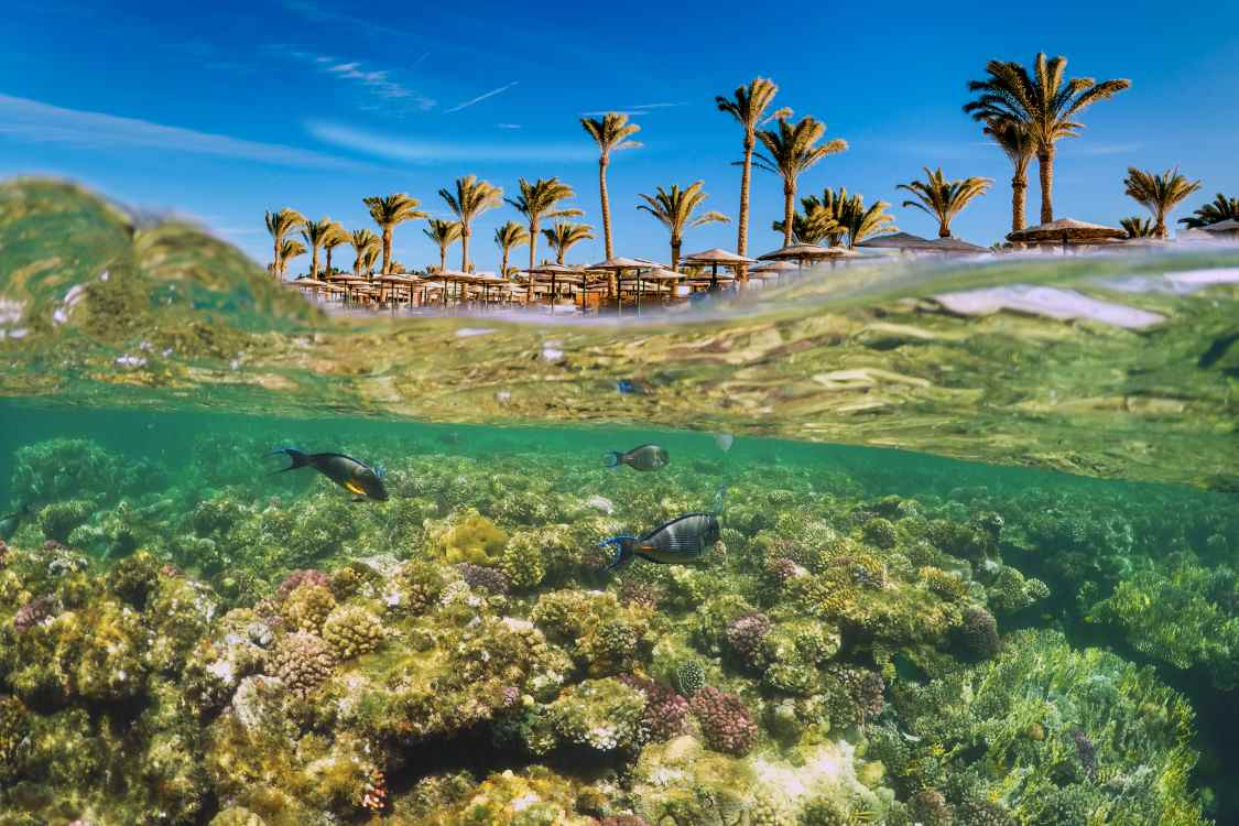 Sharm El Sheikh