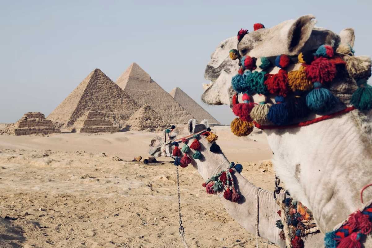 The Reasons That Make You Visit Egypt 