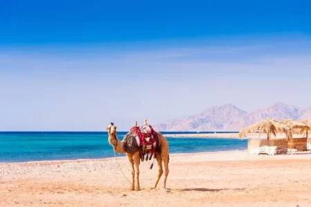 4-Day Egypt Honeymoon Tour in the Nile and the Red Sea