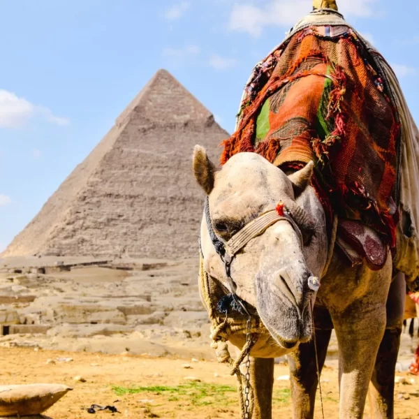 Egypt Christmas Tours