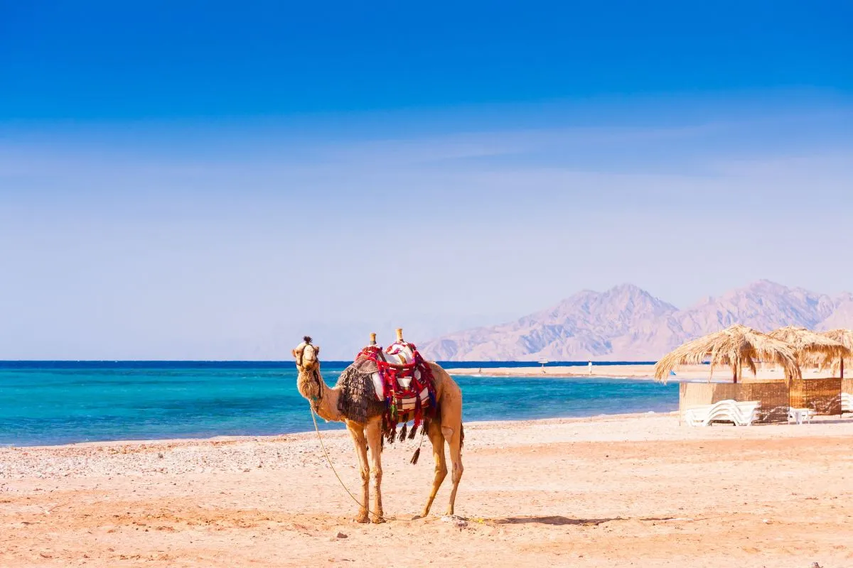 Hurghada - cities to visit in Egypt